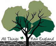 All Things New England